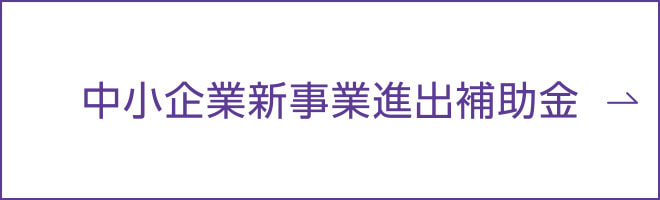 中小企業新事業進出補助金